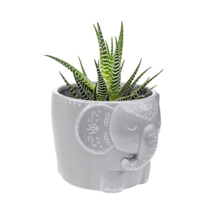 Mandala Elephant Planter